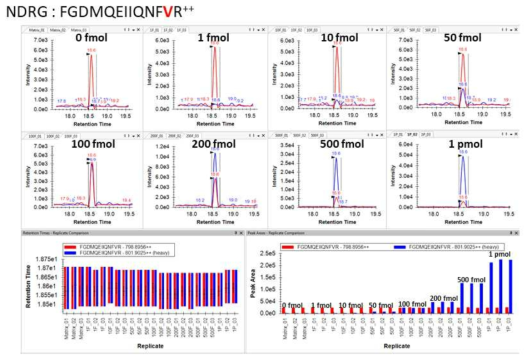 NDRG에 대한 MRM 분석 결과