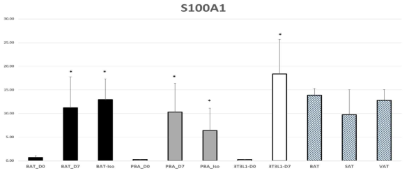 S100A1의 11개 조건에서의 평균 절대 정량값과 표준오차 그래프 (fmol/μg)