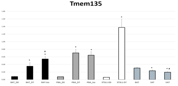 Tmem135의 11개 조건에서의 평균 절대 정량값과 표준오차 그래프 (fmol/μg)