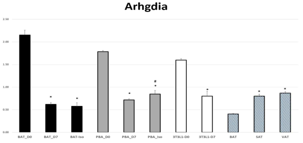 Arhgdia의 11개 조건에서의 평균 절대 정량값과 표준오차 그래프 (fmol/μg)