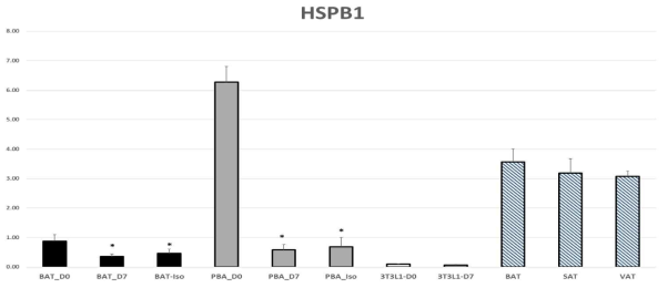 HSPB1의 11개 조건에서의 평균 절대 정량값과 표준오차 그래프 (fmol/μg)