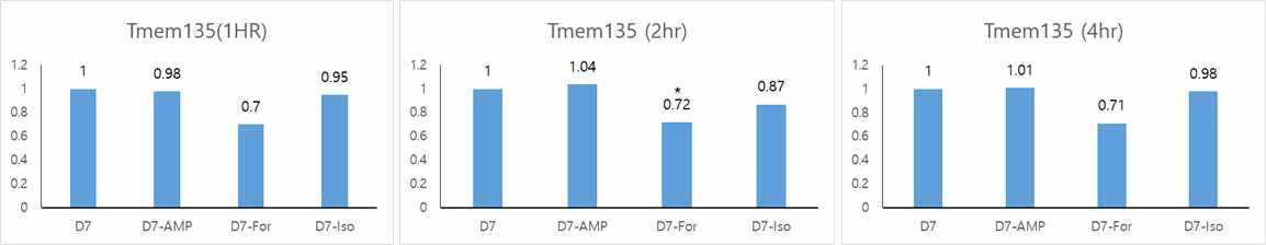 분화된 immortalized brown adipocyte cell line을 cAMP, Forskolin, Isoproterenol으로 1시간, 2시간, 4시간 활성화 후 Tmem135 mRNA의 변화