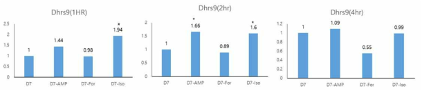 분화된 immortalized brown adipocyte cell line을 cAMP, Forskolin, Isoproterenol으로 1시간, 2시간, 4시간 활성화 후 dhrs9 mRNA의 변화