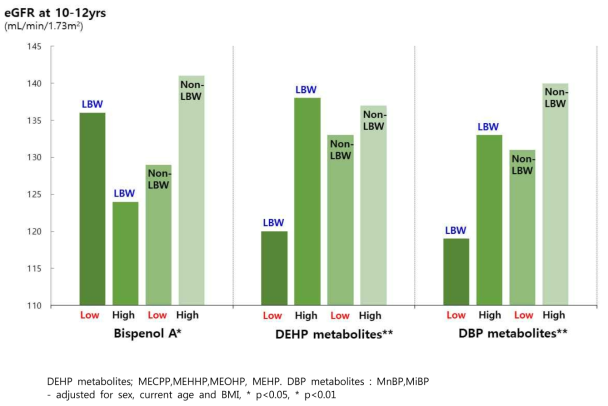 Effects of Low birth weight status and subsequent environmental hormone exposure on eGFR levels in childhood