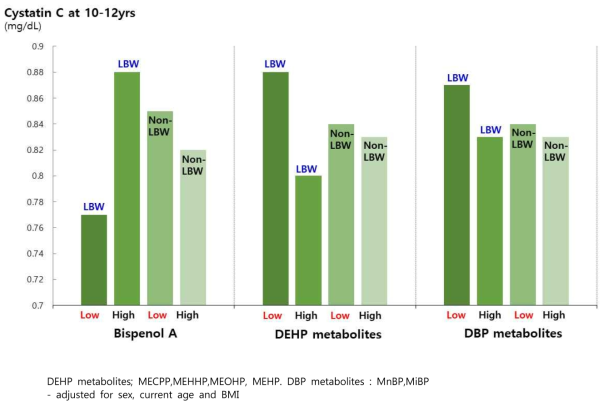 Effects of Low birth weight status and subsequent environmental hormone exposure on serum Cystatin C levels in childhood