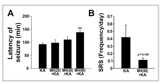 The anti-seizure effects of morin on KA-treated mice