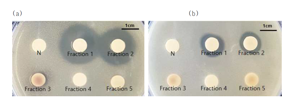 Inhibitory activity of Smilax china L. root column Fractions against P. acnes (A) KCTC 3314 (B) KCTC 3320 N: Negative control