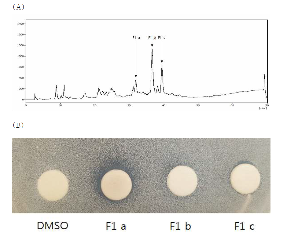 HPLC chromatogram of column faction 1 (A) and Inhibitory activity against P. acnes (B)