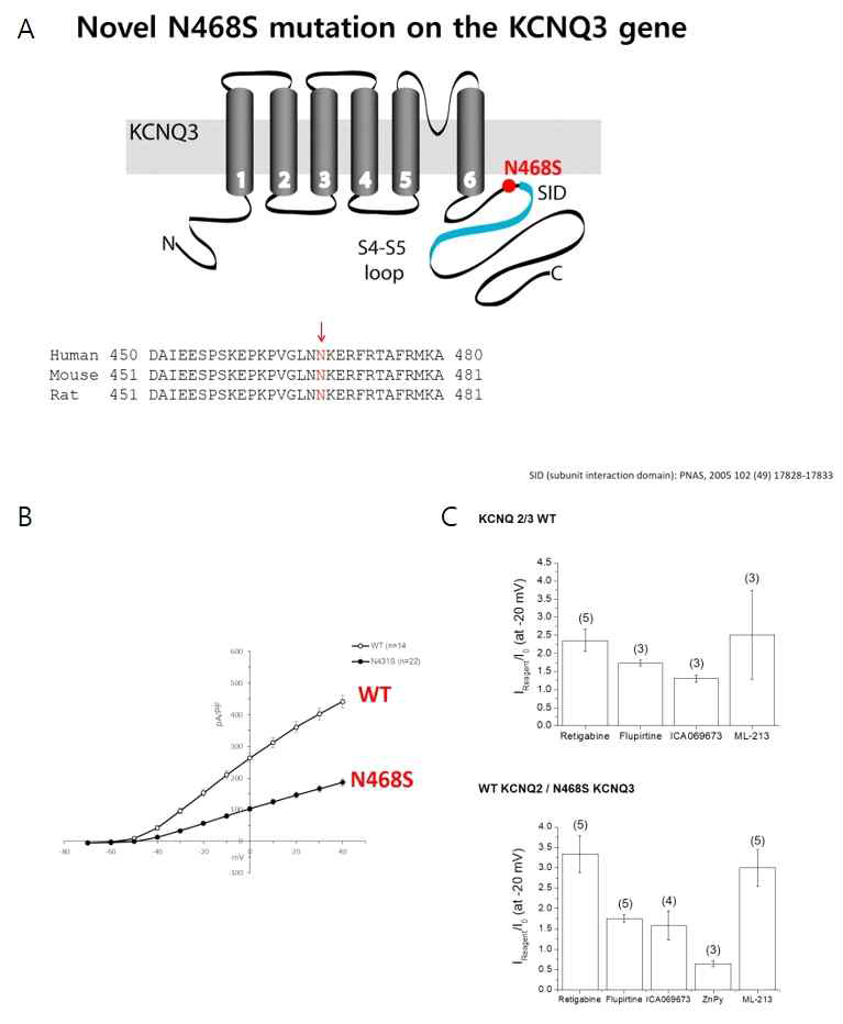 HEK293T세포에 KCNQ2, KCNQ3 유전자를 발현시킨 세포모델에서 KCNQ3 c.1403A>G, p.N468S변이의 위치 및 변이에 따른 칼륨이온통로의 기능변화 및 재활성화 약제의 비교