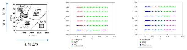 인지질의 온도 스캔 및 압력스캔 별 상 평형 그림 (좌); Isochoric condition 하에서 AB/A 혼합계가 발현하는 나노구조 상 평형 그림. 중간은 Nχ =14 조건이고 우측은 Nχ=12 조건임