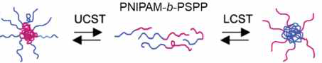 PNIPAM-b-PSPP 블록공중합체계의 수용액에서의 나노 상 거동