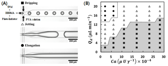 In-situ imaging과 액적 생성 공정 최적화: ■물방울, △분사, ●신장. (A)흐름 - 초점 접합부에서 세 가지 다른 흐름 패턴의 광학 이미지, (B) 세 가지 다른 흐름 패턴 에 대한 분산 상 (Q d ) 및 모세관 수 ( Ca ) 의 유속의 함수로서 phase diagram