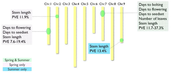 Chromosome location of the QTLs for days to bolting, days to flowering, days to seed-set, number of leaves, stem length of lettuce