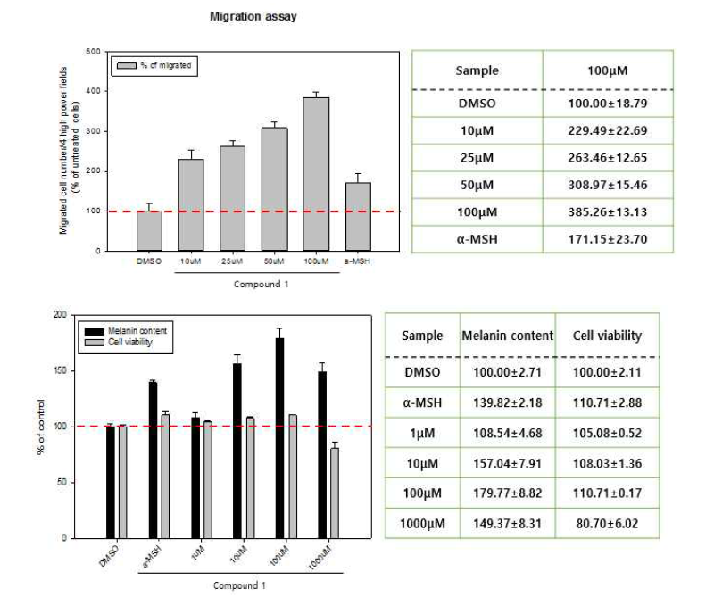 compound 1홯ㅂ물의 세포이동 촉진효능 및 세포분화능
