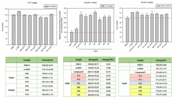 3차 유도체의 세포독성(MTT), 세포이동 (Migration), 세포분화 (Differentiation)효능평가