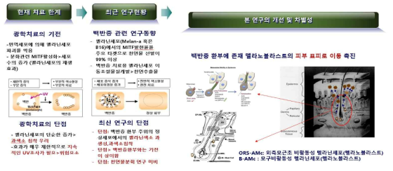 본 연구의 가설 및 차별성