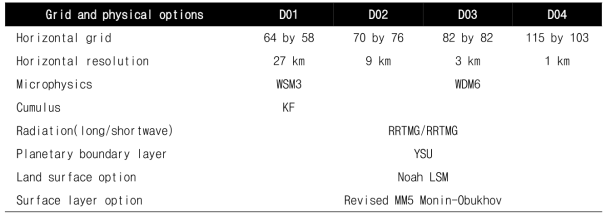 WRF모델의 도메인 영역과 물리옵션