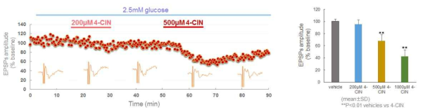 4-CIN가 전정 신경핵의 흥분성 시냅스 유발전위의 변화에 미치는 영향 확인.