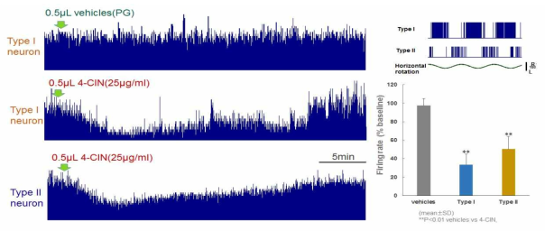 4-CIN이 전정신경핵의 Type1과 Type2 신경의 자발적 활동성에 미치는 영향 확인