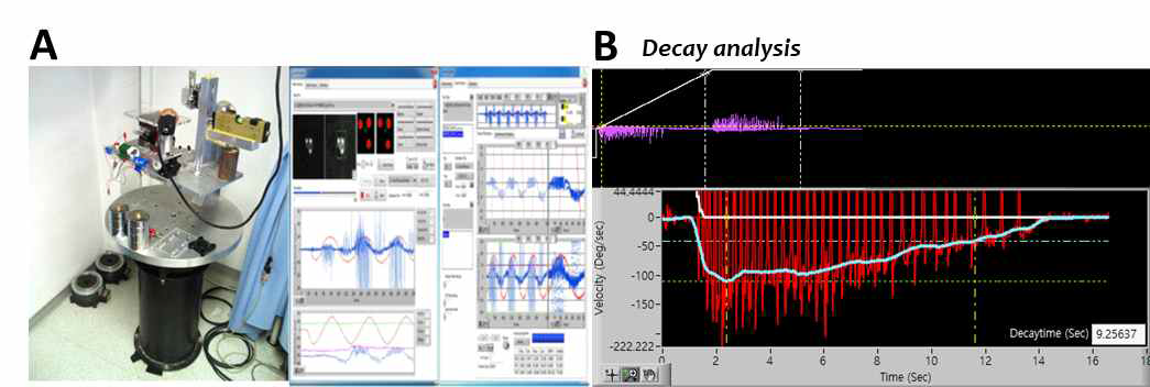 (A) 전정안반사를 유발 하기 위한 회전장치와 안진운동 기록 프로그램. (B) 회전이 멈춘 후 기록된 안구운동의 속도의 변화를 관찰함