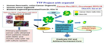 환자유래 organoid 모델에서 전기장치료 효능 유효성평가 설계 scheme