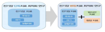 전기장 단독치료 최적화 및 병합치료 최적화 연구