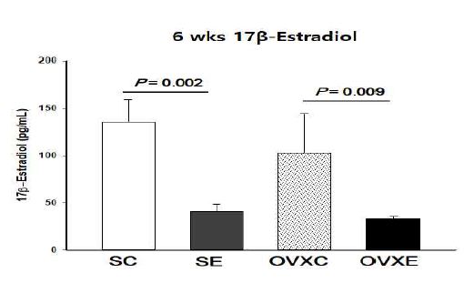 알코올 섭취 후 혈액내 17β-estradiol