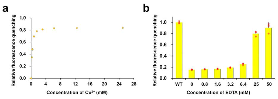 ZsYellow에 대한 분광학적 분석 (a) Cu2+의 농도에 따른 형광 소광 비율 조사. (b) Cu2+에 의해서 형광 소광된 ZsYellow에 대한 EDTA에 의한 형광 복원 조사
