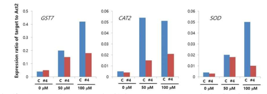 The expression patterns of oxidative stress marker genes in Arabidopsis lines expressing PfFieF genes. Arabidopsis seedlings grown under healthy conditions were treated with different CdCl2 concentration for 6 hours. Seedlings were harvested and subjected to RNA isolation, followed by RT-PCR for designated marker genes. C, Col-0; #4, PfFieF line