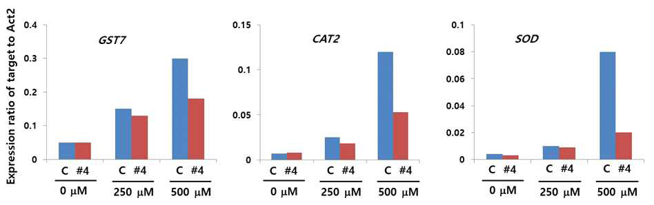The expression patterns of oxidative marker genes in Arabidopsis expressing PfFieF . Arabidopsis seedlings grown under healthy conditions were treated with different ZnCl2 concentration for 6 hours. Seedlings were harvested and subjected to RNA isolation, followed by RT-PCR for designated marker genes. C, Col-0; #4, PfFieF line