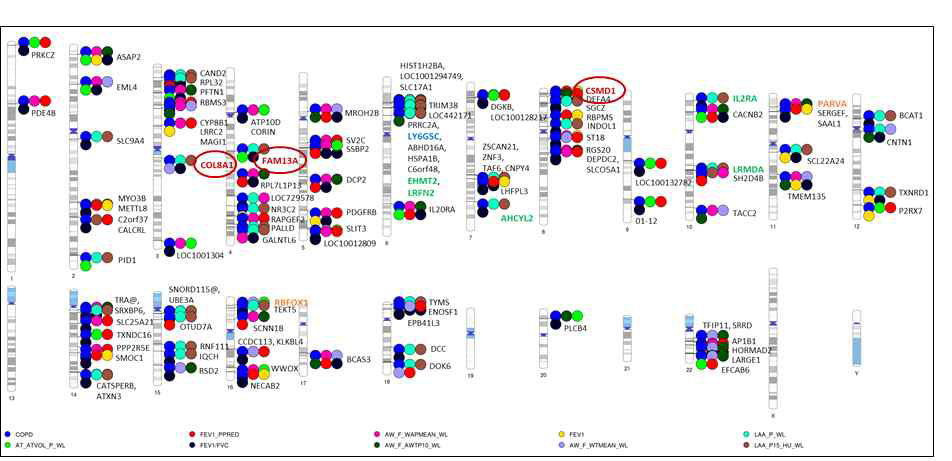 Summary phenogram plot of genetic association study for quantitative image phenotypes (p <0.05)