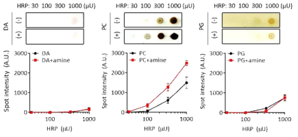 다양한 전구체로부터 표면에 스팟으로 고정된 HRP의 농도에 따라 형성되는 접착성 발색체 비교 결과