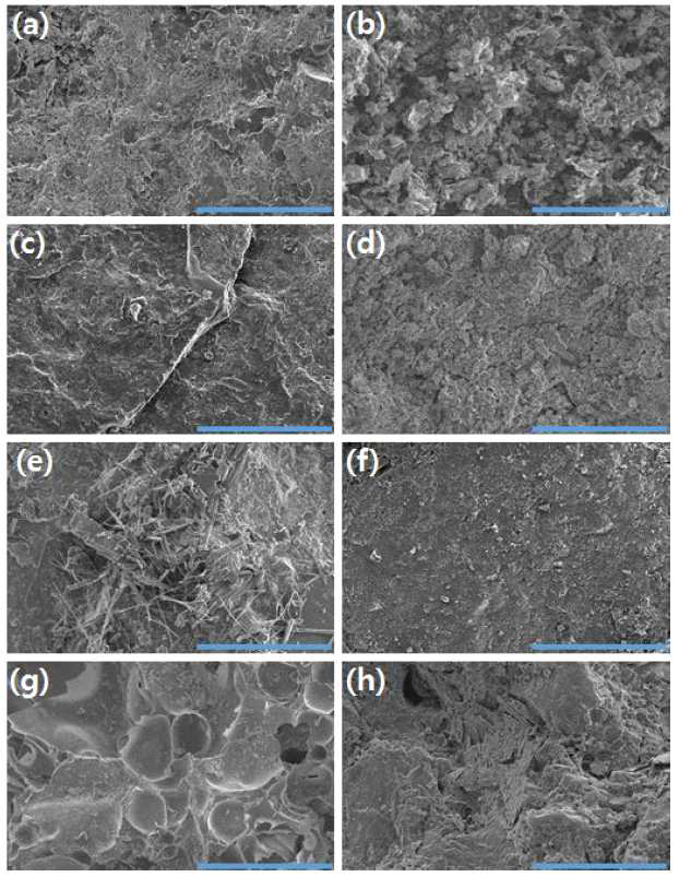 SEM images: (a) illite, (b) activated carbon, (c) anthracite, (d) birm, (e) feroxer, (f) garnet, (g) hydro-filt, and (h) sand (bar scale = 5 μm)