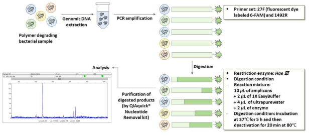Terminal restriction fragment length polymorphism (T-RFLP) analysis for investigation on microbial community