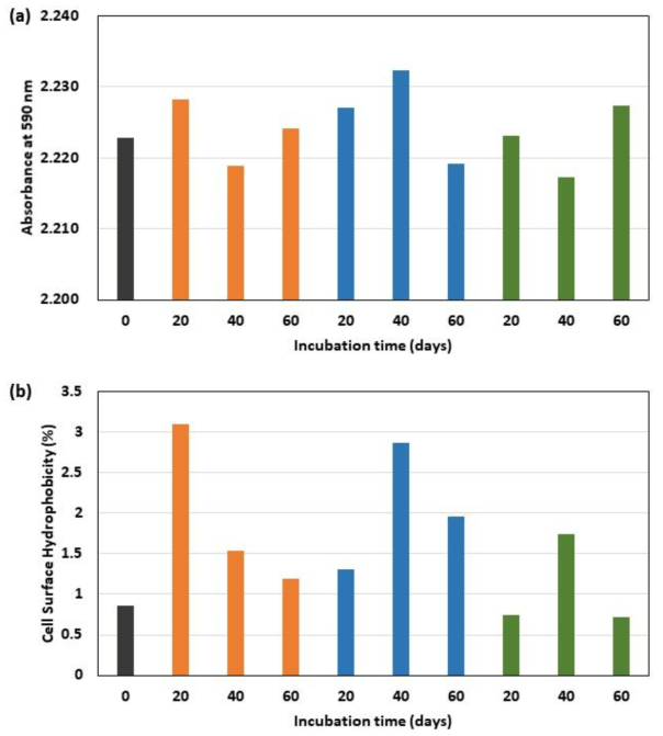 (a) Biofilm formation capacity as of absorbance at 590 nm and (b) the percentage of cell surface hydrophobicity of PE microplastic-degrading bacterial consortium depeding on the initial microbial inoculum concentration (1, 10, 20 and 30-fold concentrated for black, orange, blue, and green bar, respectively)