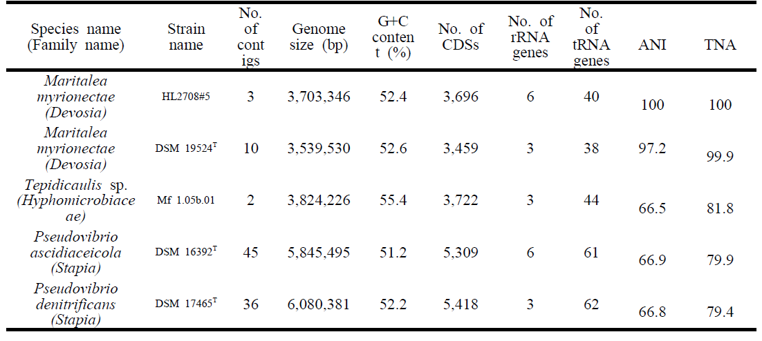균주 HL2708#5에 가까운 근연종(Rhizobiales목에 해당)들의 유전체 비교