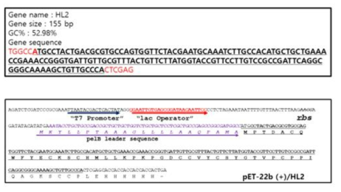 pET-22b(+)에 유전자 합성한 peptide “MPTDACQWFYECKSCHMLLKPKPGDCCVYCSYGTVPCPPIQAGKSCCP”