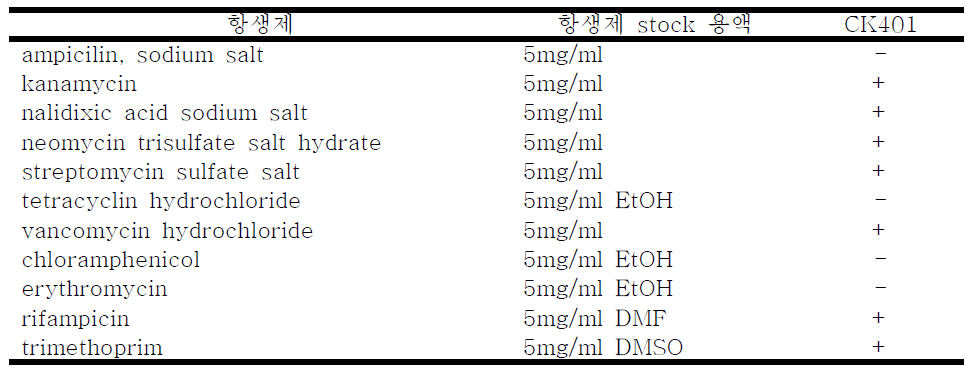 CK401 균주 항생제 내성 검사 결과