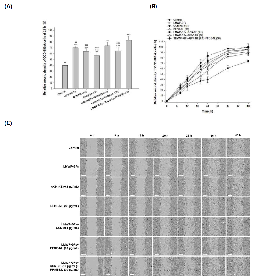 Relative scratch wound recovery of CCD-986sk cells after incubation with hydrogel containing low-molecular-weight protamine (LMWP)-fused growth factors (LMWP-GFs), quercetin-loaded nanoemulsion (QCN-NE), and perfluorooctyl bromide–loaded nano-liposome (PFOB-NL) alone or combinations for 24 h: (A) relative scratch wound recovery of CCD-986sk cells after 24 h; (B) time-course of relative scratch wound recovery area of CCD-986sk cells; (C) representative microscope images of scratch wounds treated with the control (serum free medium) and hydrogel containing low-molecular-weight protamine (LMWP)-fused growth factors (LMWP-GFs), quercetin-loaded nanoemulsion (QCN-NE), and perfluorooctyl bromide–loaded nano-liposome (PFOB-NL) alone or combinations. Each value represents the mean ± standard deviation (n = 6). ***p < 0.001 compared with the control group. ##p < 0.05, ###p < 0.001 compared with the combination of LMWP-GFs, QCN-NE, and PFOB-NL (LMWP-EGF [500 ng/mL]+LMWP-IGF-I [500 ng/mL]+LMWP-PDGF-A [10 ng/mL]+LMWP-bFGF [10 ng/mL]+QCN-NE [0.1 μg/mL QCN]+PFOB-NL [30 μg/mL]). Scale bar means 300 μm