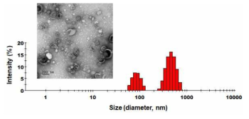 Particle size distributions and transmission electron micrographs of elastic nano-liposomes containing perfluorocarbon in combination with hyaluronic acid (HA). Scale bar means 200 nm