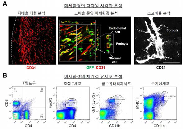 암미세환경 통합적 분석 시스템 구축