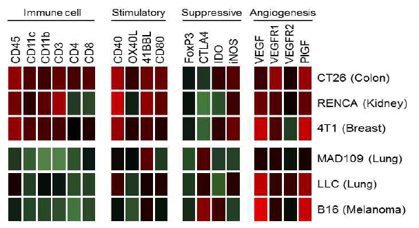 암종별 면역 관련 유전자 발현