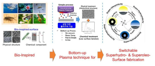 생체모방을 통한 상압 저온 플라즈마 기술을 이용한 표면 기능화 연구개요