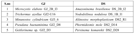 List of new records of cyanobacterial species isolated from the Nakdong River for the first time in South Korea