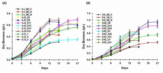 Growth curve of cyanobacteria isolated from Nakdong river