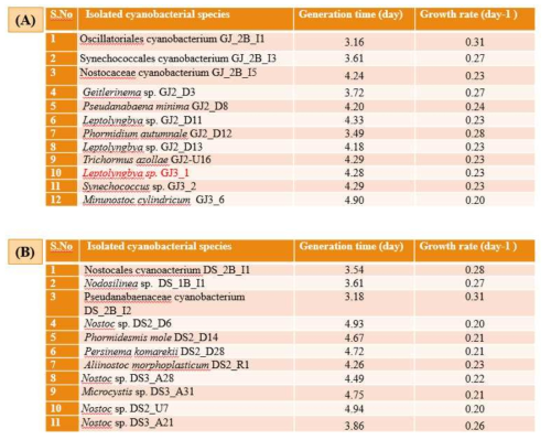 Generation time and growth rate of cyanobacteria cultures