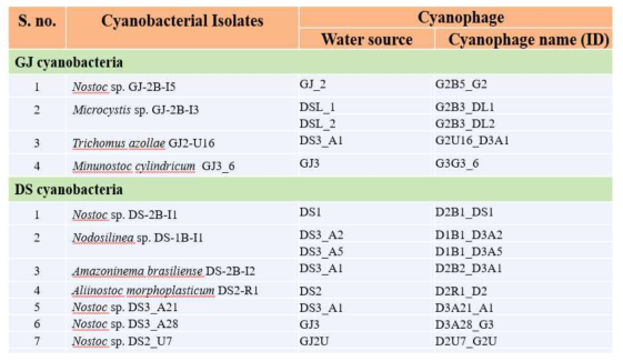 Water source and name of cyanophage isolated against to specific cyanobacteria