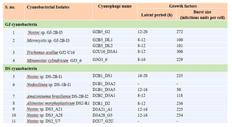 Growth factors of cyanophage for biocontrol of cyanobacteria