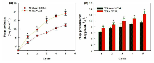 Phage production (a) and productivity (b) in PER integrated with and without membrane