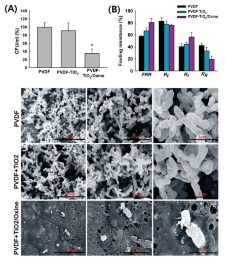 Antibacterial and antibiofilm effect of nanocomposite membrane with TiO2/Oxine